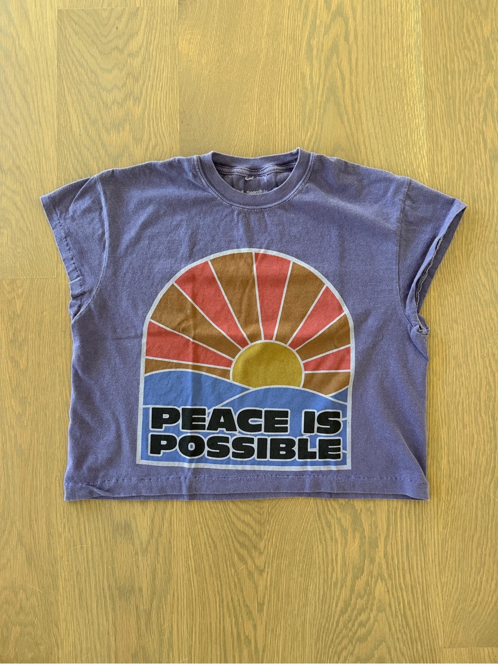 Peace is possible crop t shirt 💜